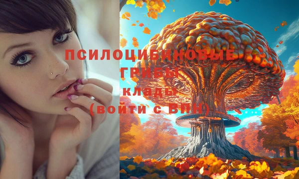 стаф Киренск