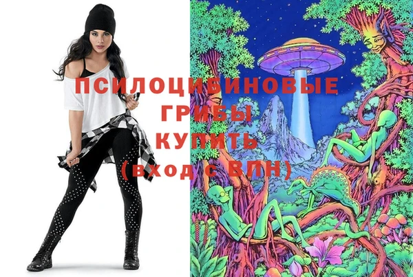 ешки Кинешма