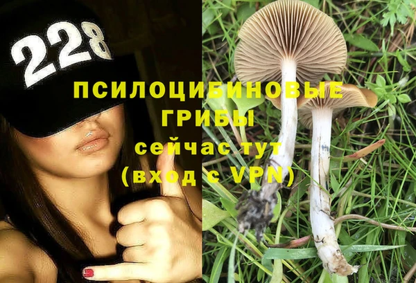 стаф Киренск